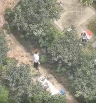游戏专题 第5页